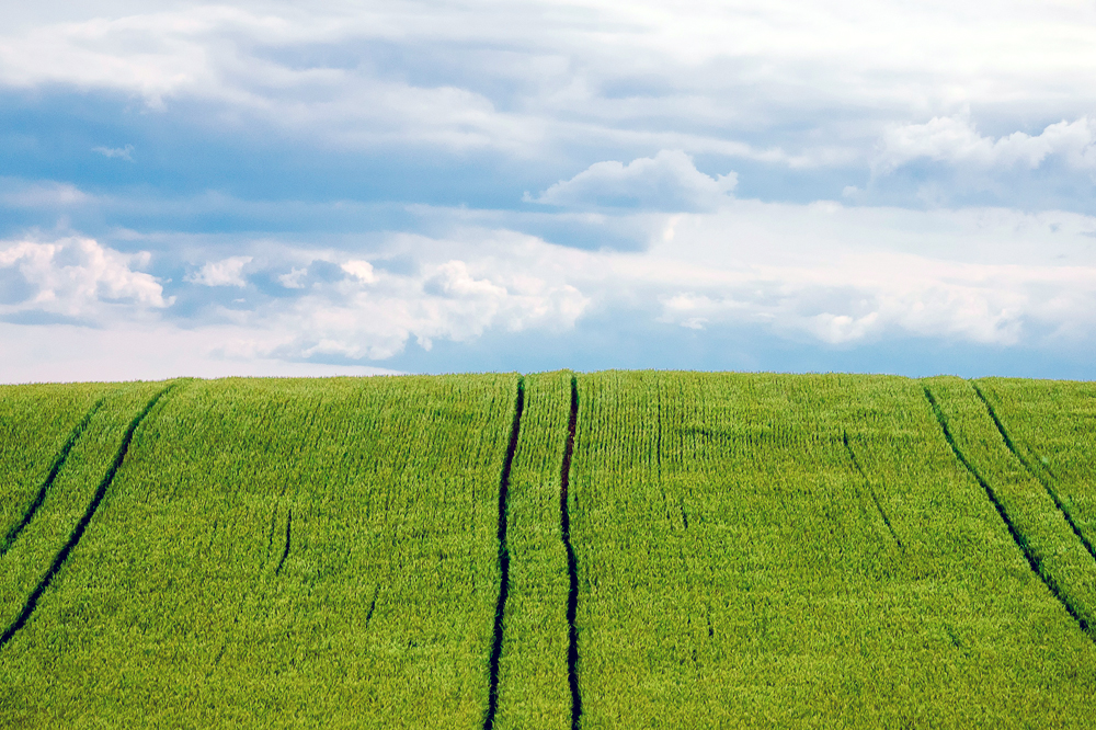 Agroquimicos